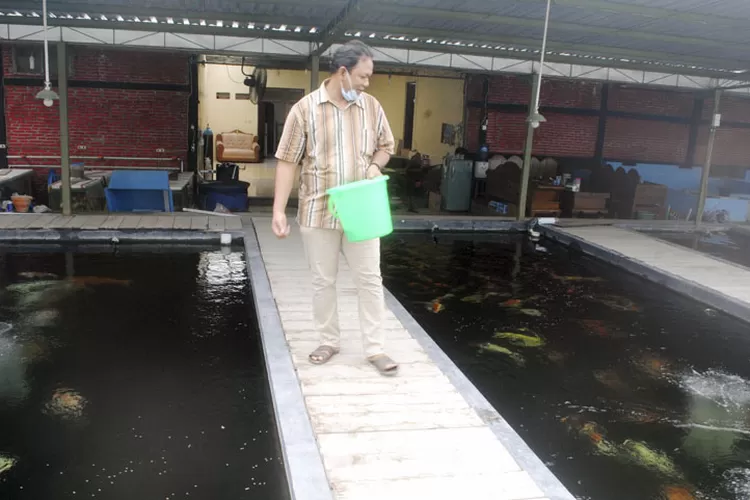 Keuntungan Bisnis Koi Sebagian Untuk Membangun Gedung PAUD